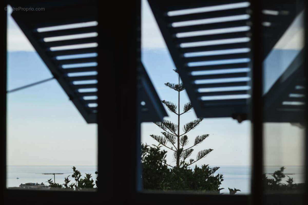 Cap-d'ail - un panorama azureen exclusif aux portes de la principaute - photo 13