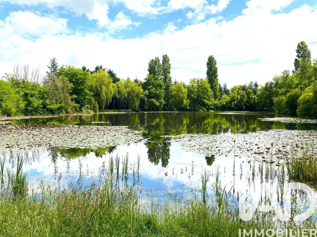 Photo 2 - Terrain à NOYEN-SUR-SARTHE