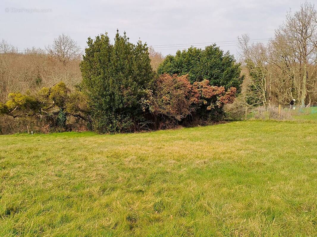 Terrain à LA CHAPELLE-DES-POTS