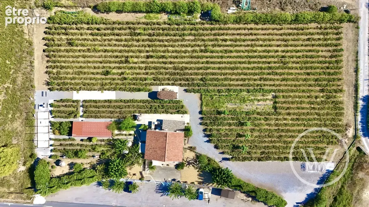 Commerce 160 m² à vendre à Mireval (34110) - photo 2