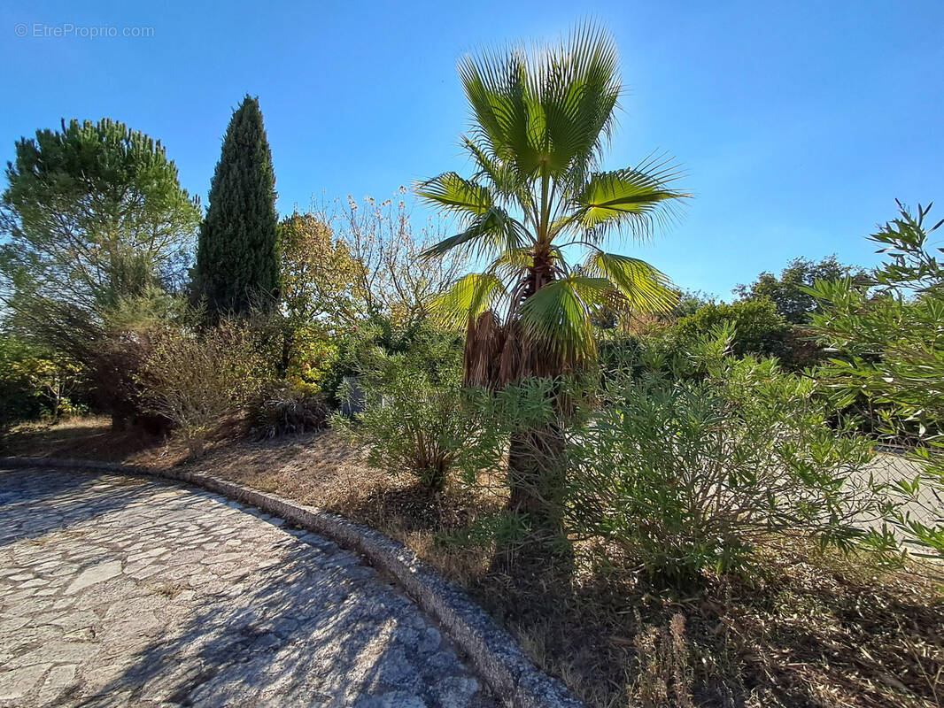 Terrain à AUJARGUES