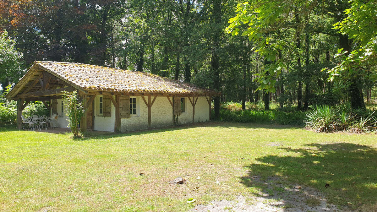 Bel ensemble Landais typique - photo 3