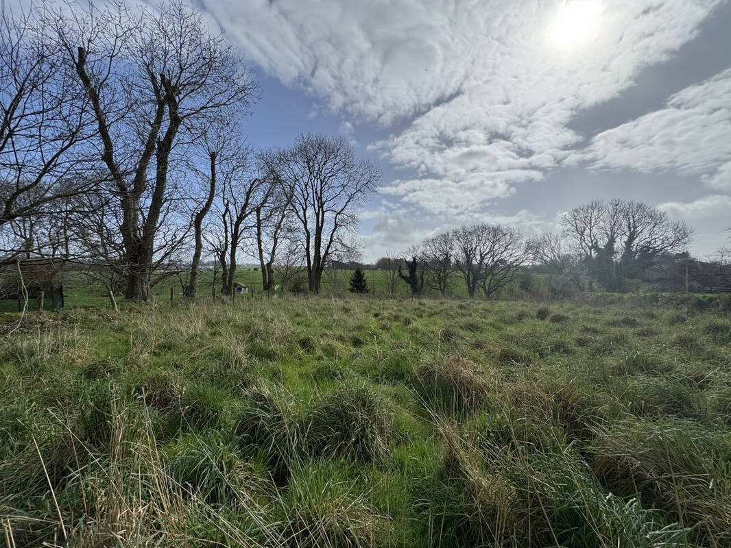 Terrain à LES LOGES