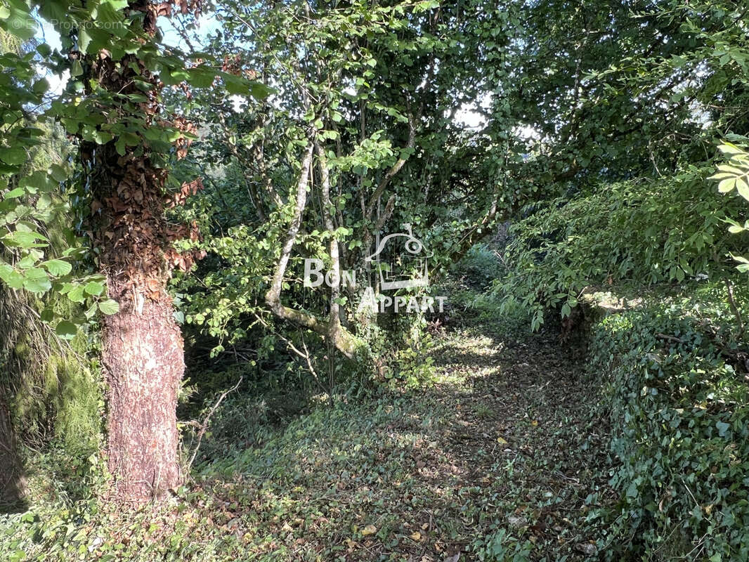 Maison en pierre 130 m2 sur 1 ha - à 30 minutes du Luxembourg entre Longwy et Longuyon - photo 13
