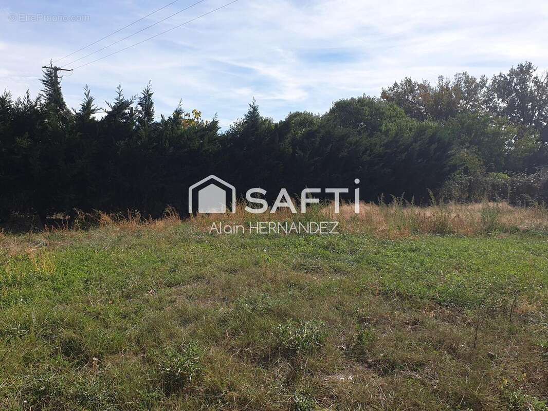 Photo 3 - Terrain à CAZERES