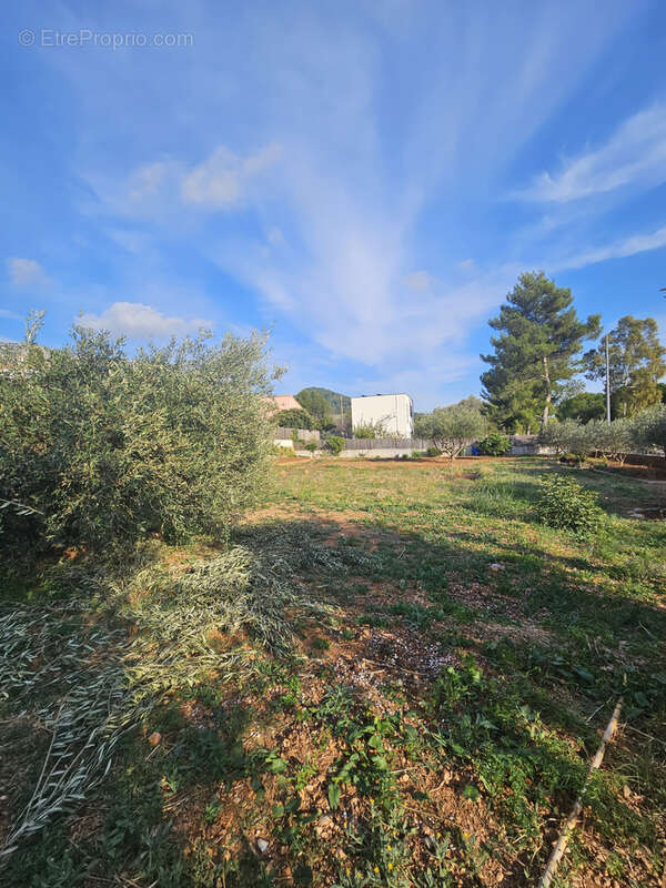 Terrain à LA VALETTE-DU-VAR