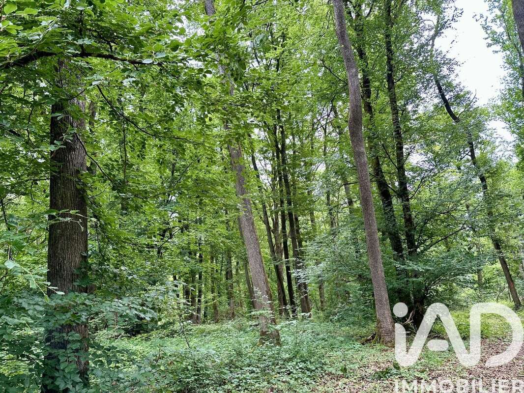 Photo 2 - Terrain à CHARENTON-DU-CHER