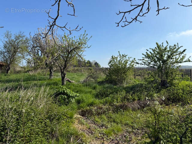 Maison à SAINT-THOMAS-DE-CONAC