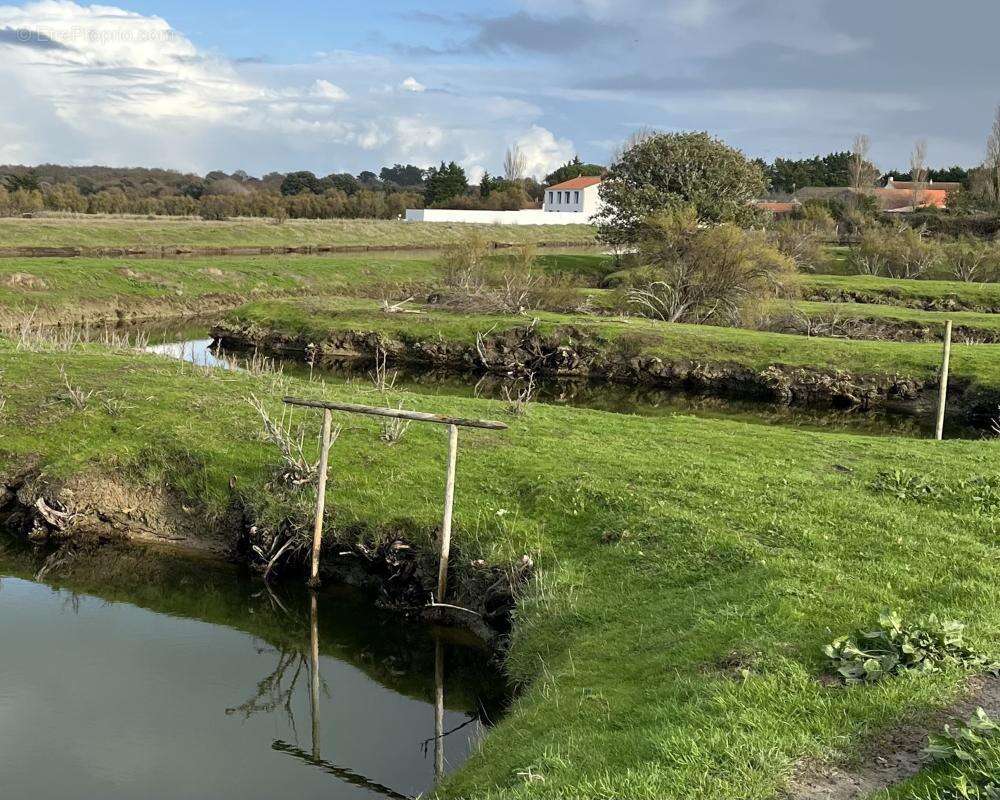 Terrain à L'ILE-D'OLONNE
