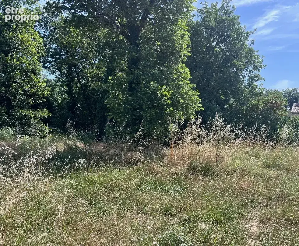 Terrain 565 m² à vendre à Sainte-Cecile-Les-Vignes (84290) - photo 3