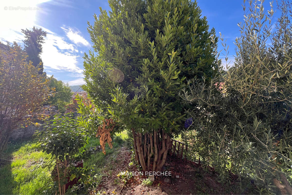 Maison à TRANS-EN-PROVENCE