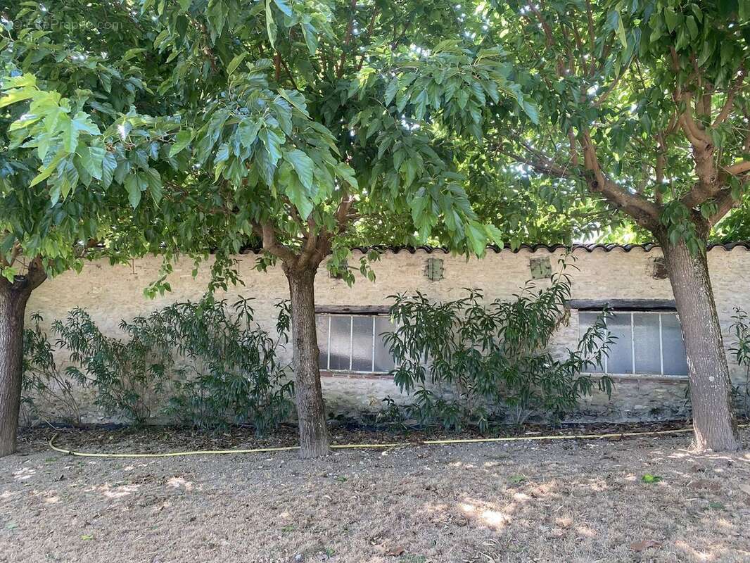 Maison 280 m² à Marssac-Sur-Tarn  - photo 3