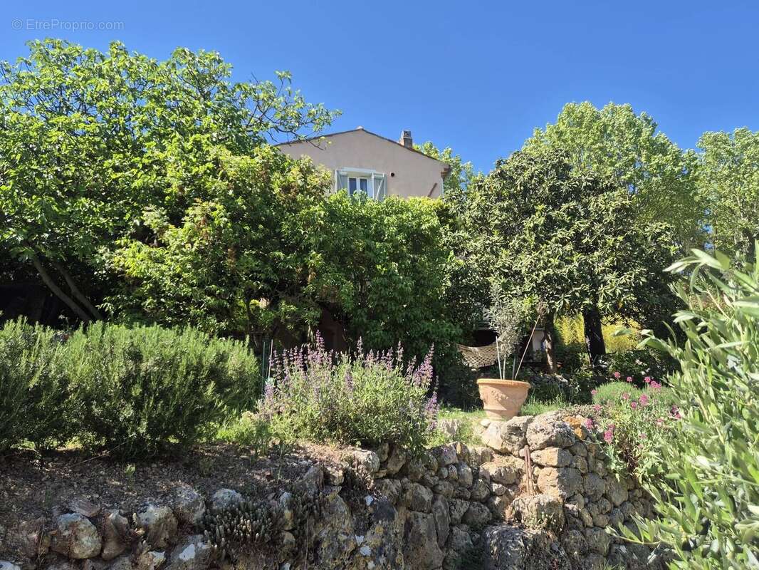 Maison à MONTFORT-SUR-ARGENS