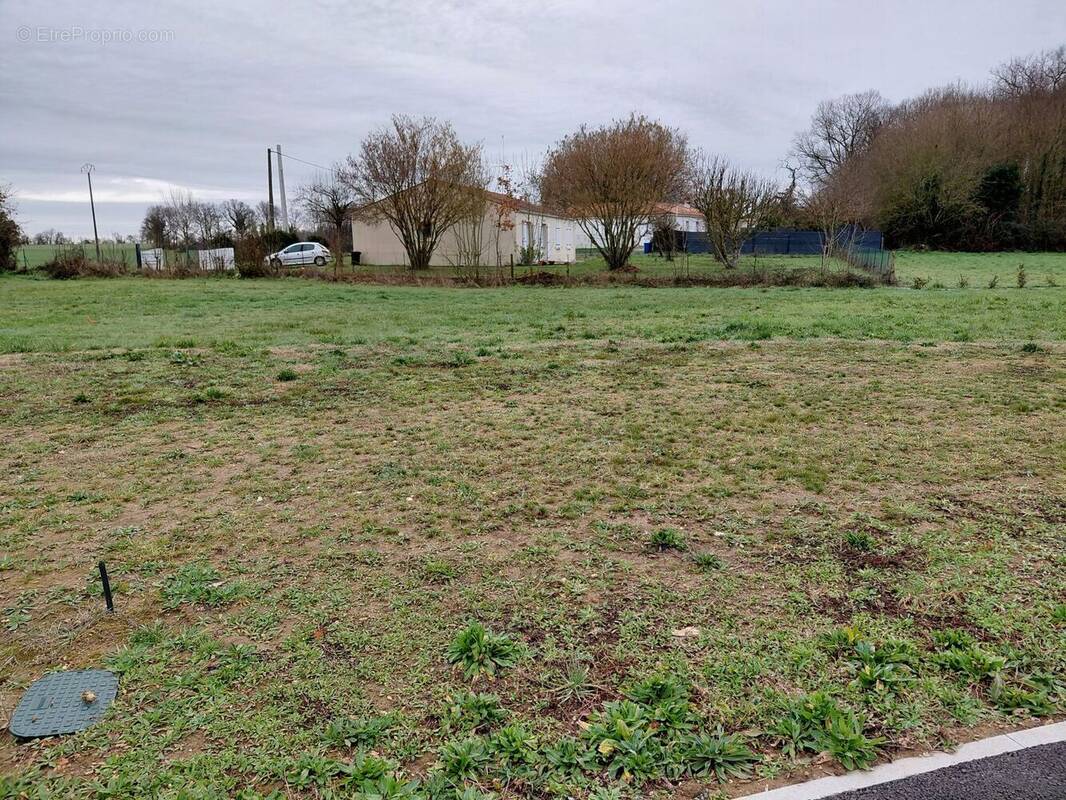 Terrain à SAINT-GEORGES-DES-COTEAUX