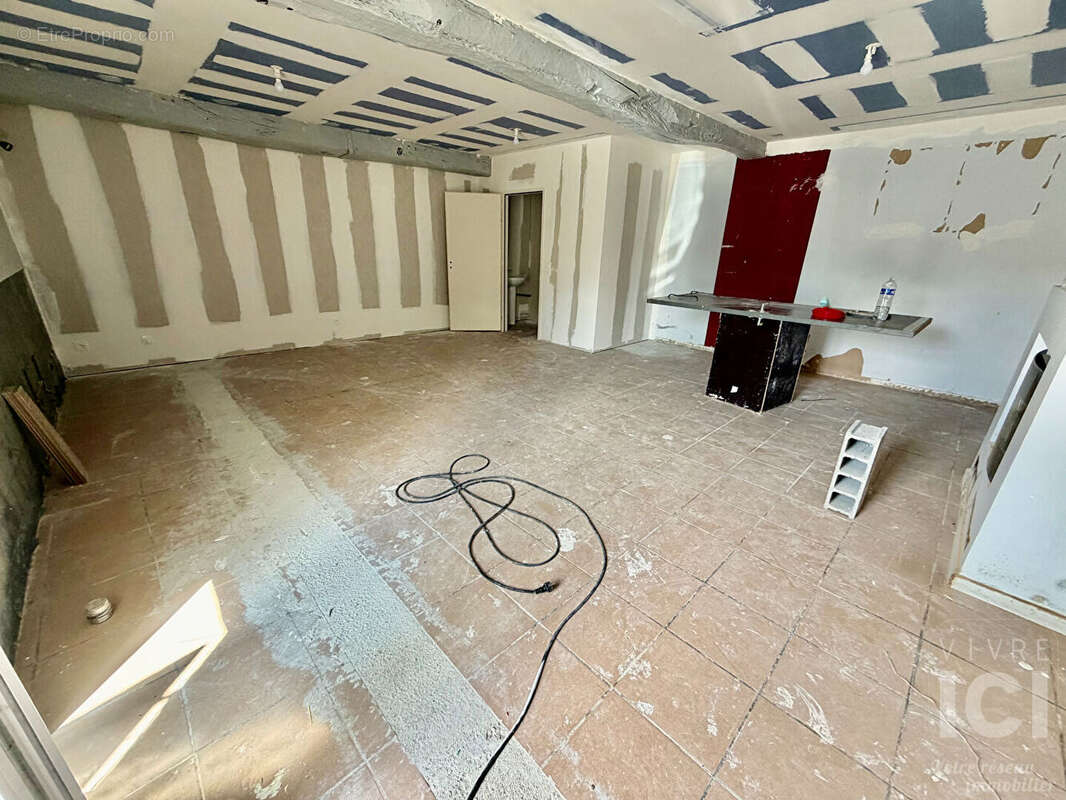 Local commercial TREILLIERES  43.33 m2 - photo 7