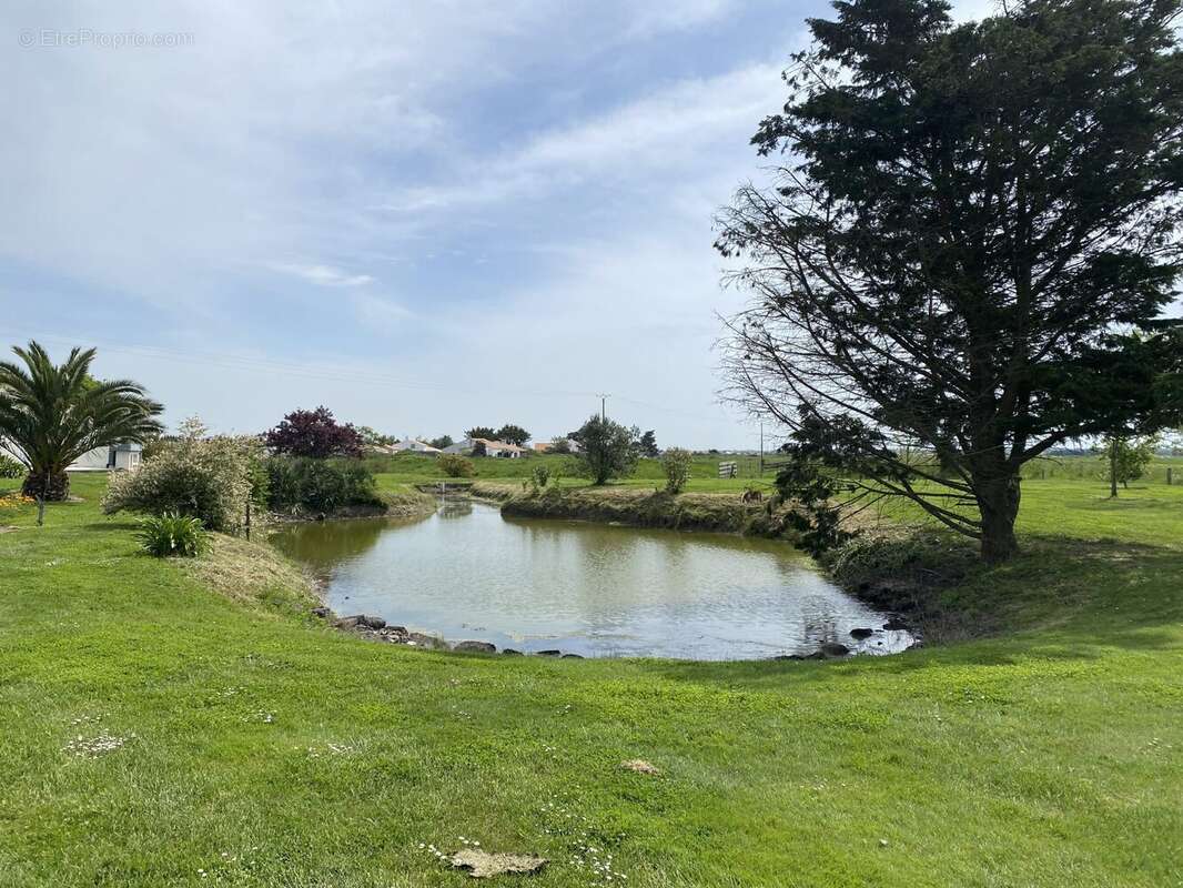 Maison à BEAUVOIR-SUR-MER