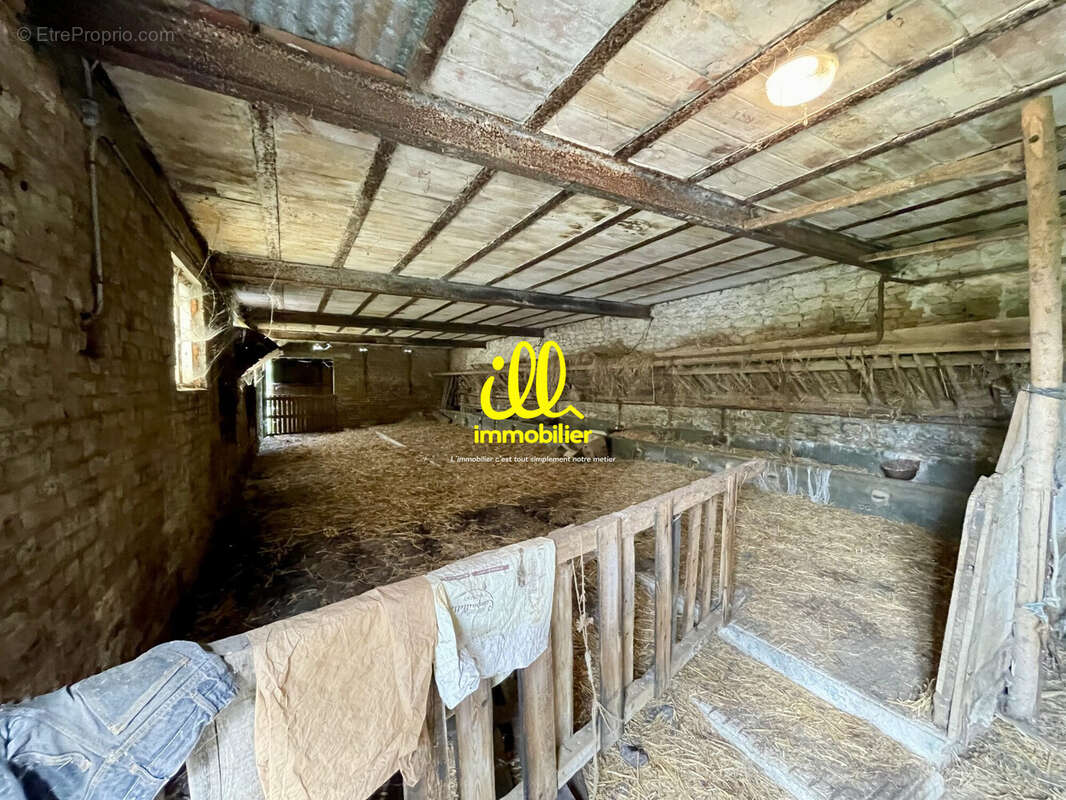 Maison 146 m² à Neuville-Lez-Beaulieu  - photo 4