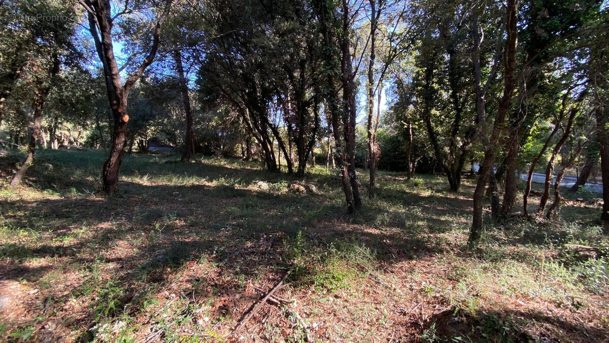 Terrain à BIOT