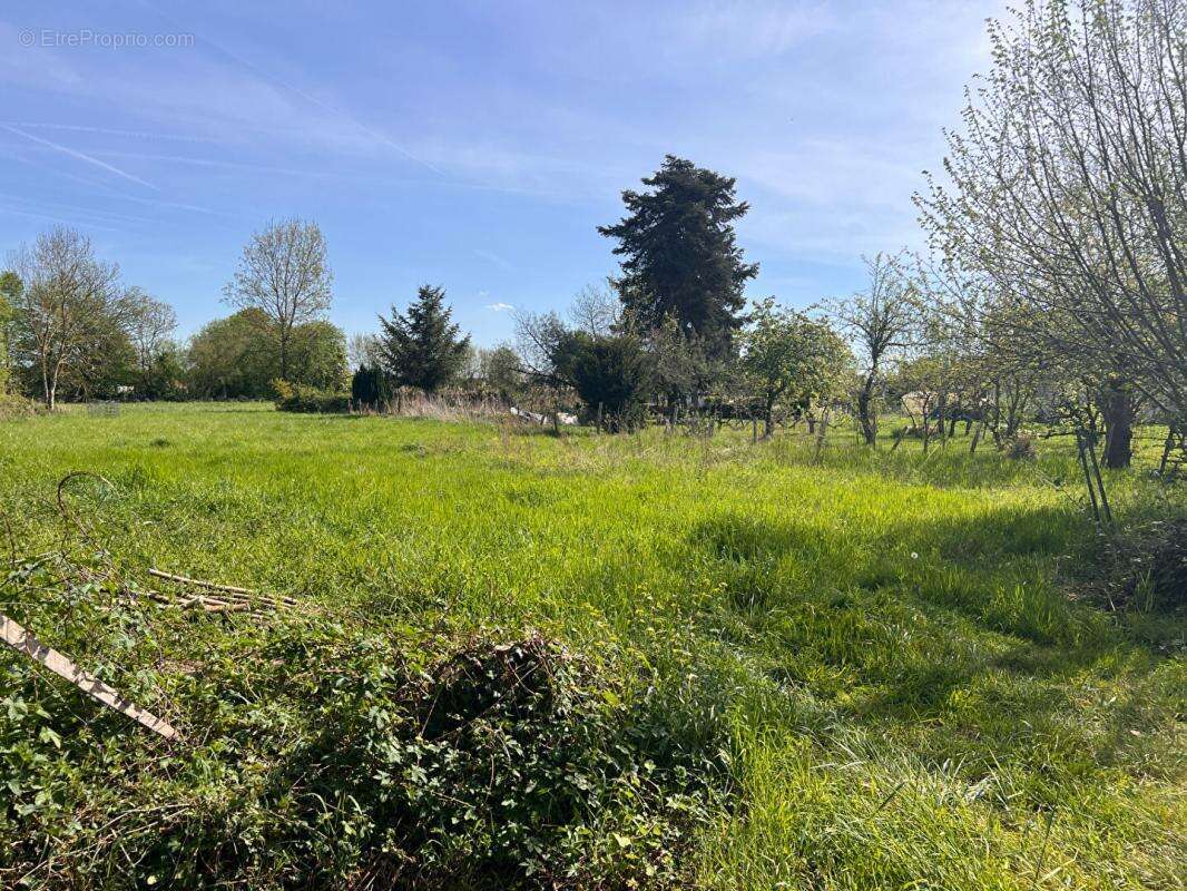 Terrain à BEAUFAY