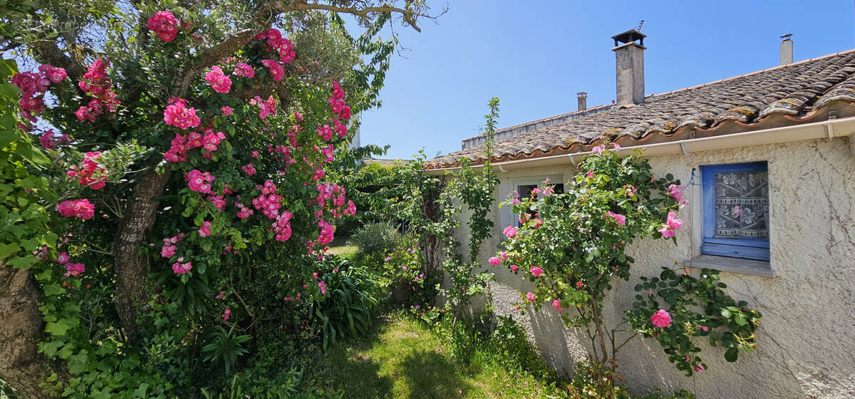 Maison à SAINT-CLEMENT-DES-BALEINES