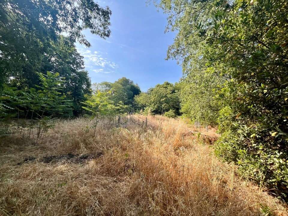 Terrain à SALON-DE-PROVENCE