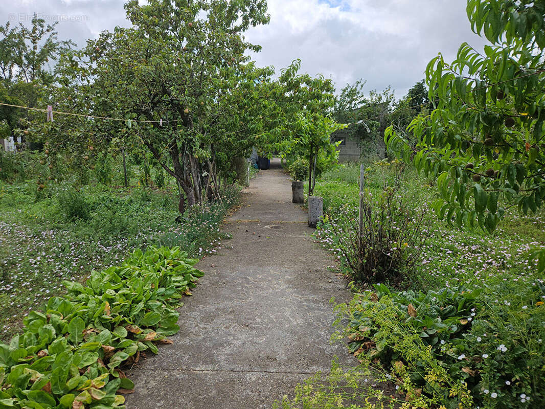 Maison à MAUPREVOIR