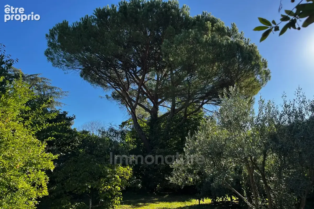 Terrain 920 m² à vendre à Cazilhac (34190) - photo 5