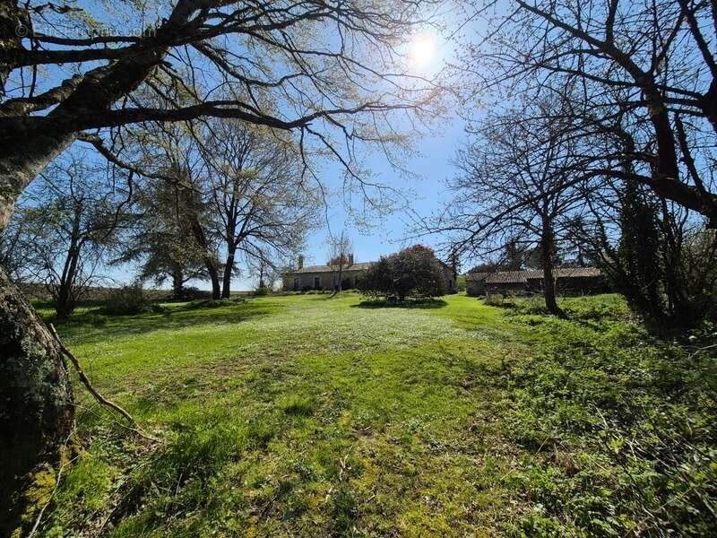 Corps de Ferme, écrin de verdure, 250 m2 habitables, 18 000 m2 de terrain, 400 m2 de dépendances, 20 mn Angoulême centre - photo 12