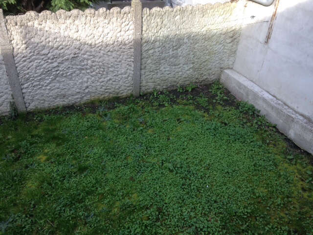 Maison à VALENCIENNES