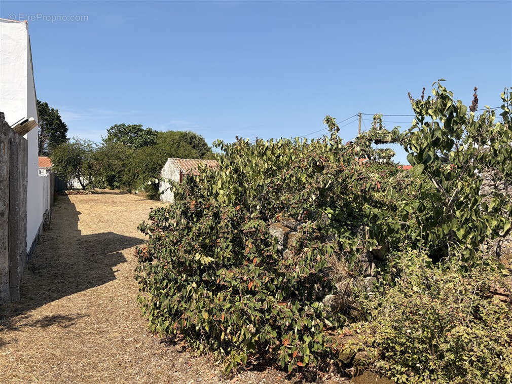 Exclusivite - a 250 m de la plage et a 600 m du bourg - photo 2