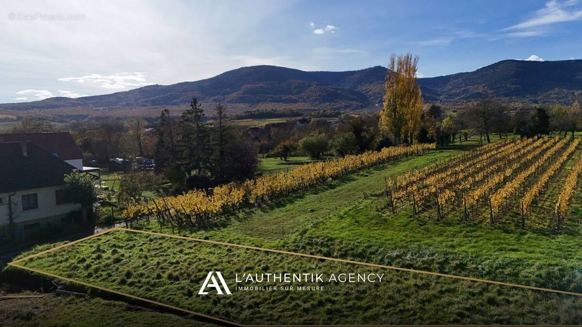 Terrain à BERNARDSWILLER