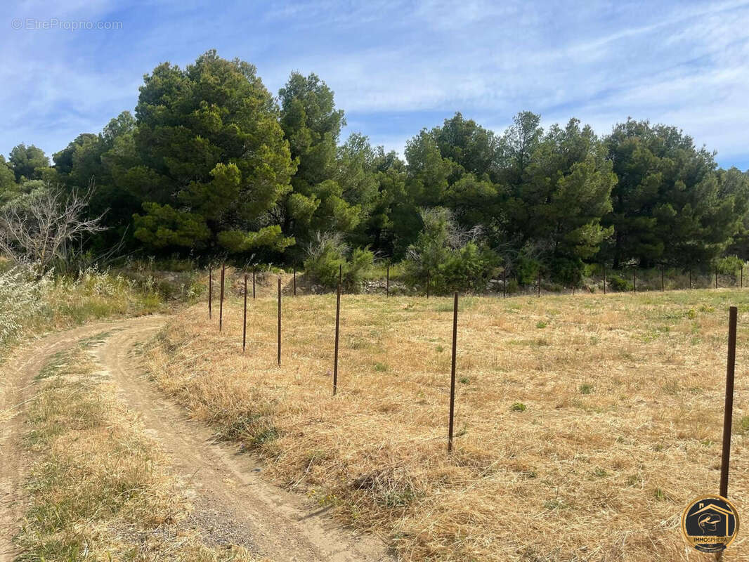 Terrain 5780 m² à Sigean  - photo 2