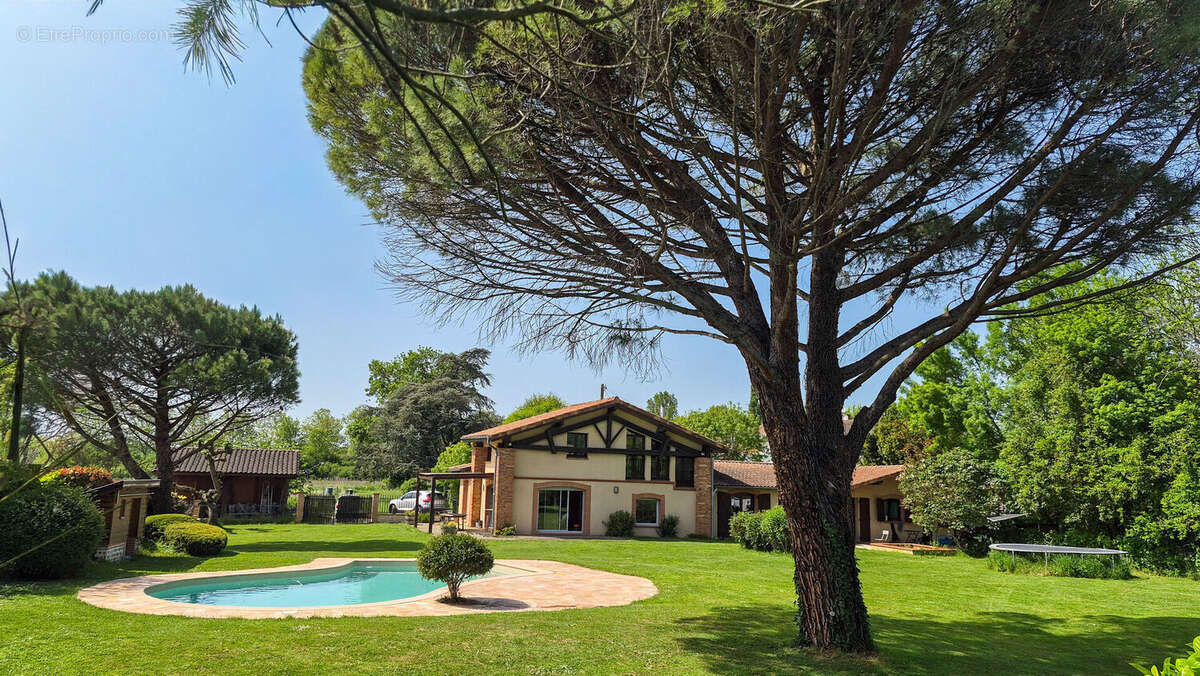 maison