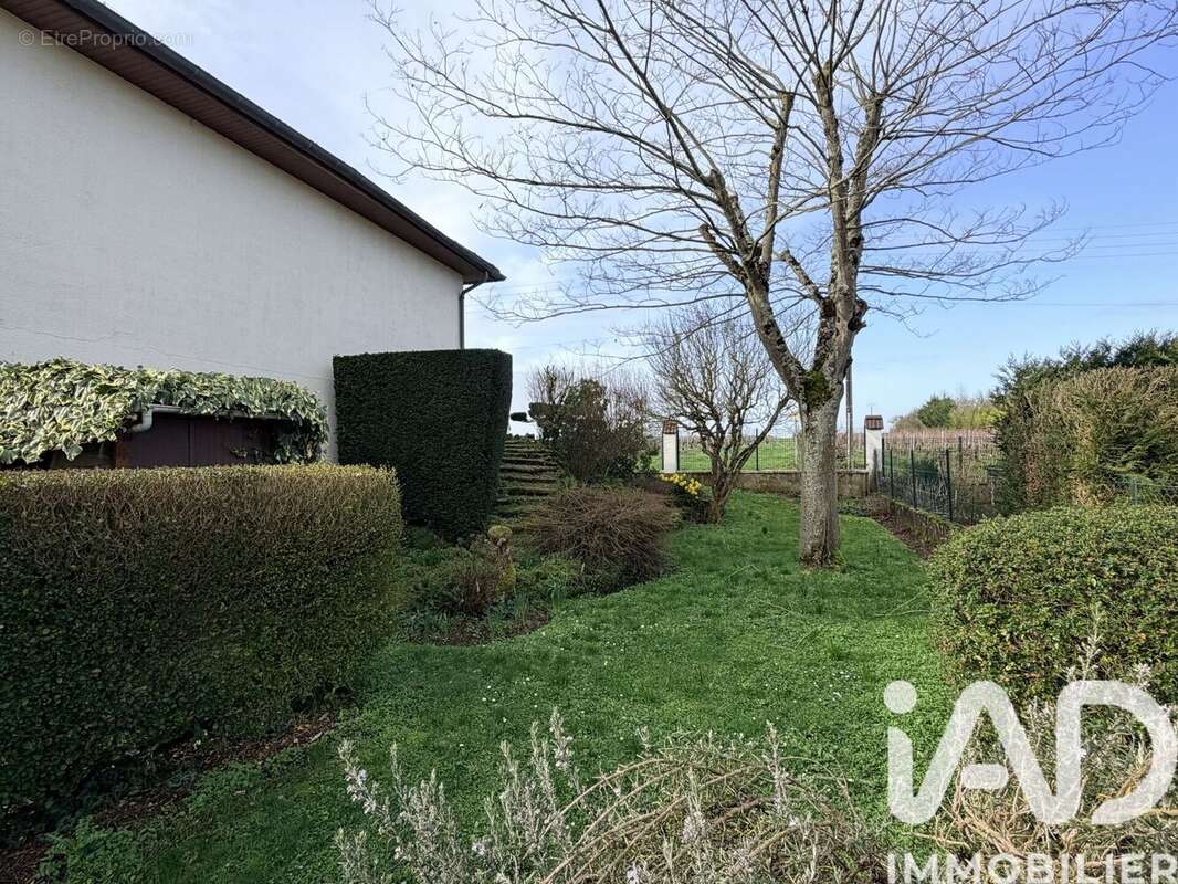 Photo 9 - Maison à ROCHECORBON