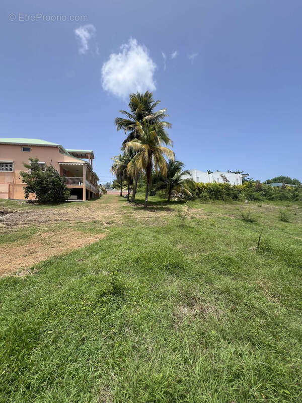 Terrain à SAINT-FRANCOIS