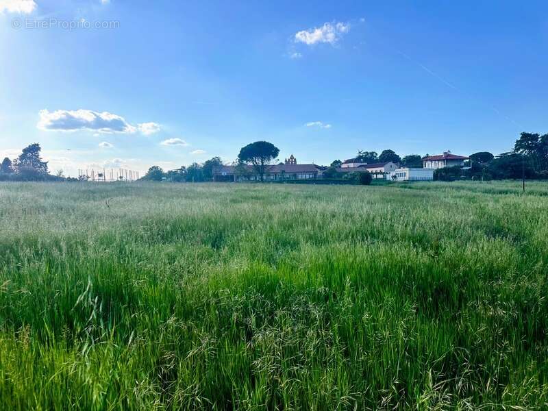 Terrain à LAPEYROUSE-FOSSAT