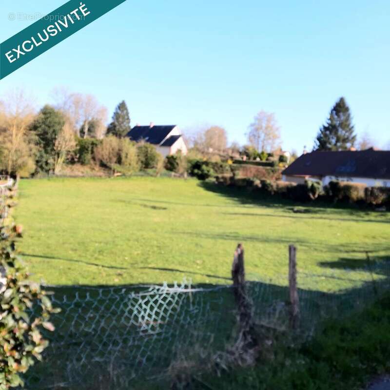 Photo 3 - Terrain à AUZOUVILLE-SUR-RY