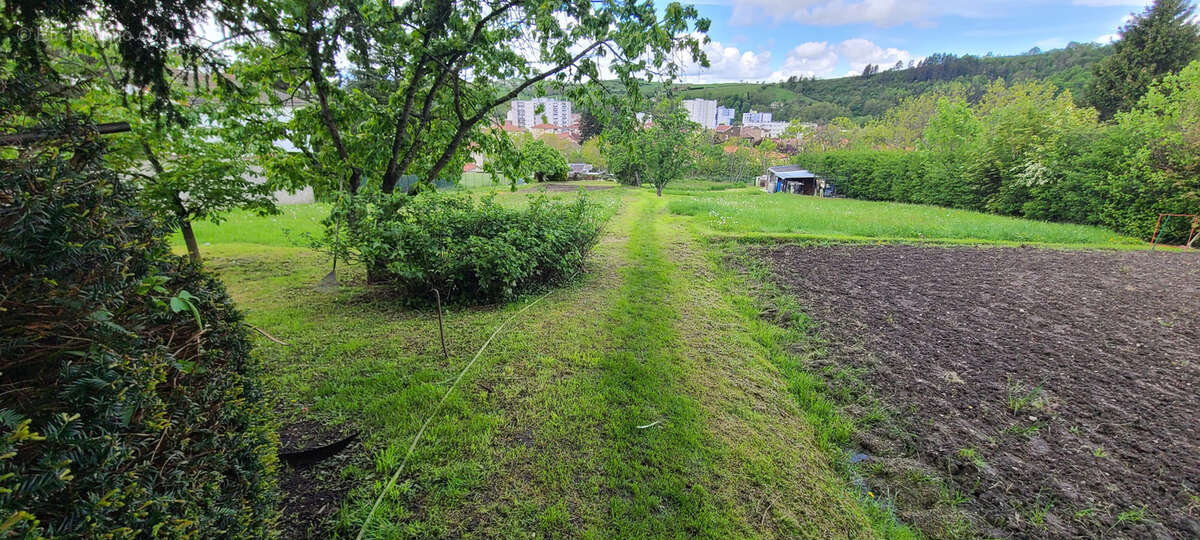 Terrain à LE CHAMBON-FEUGEROLLES