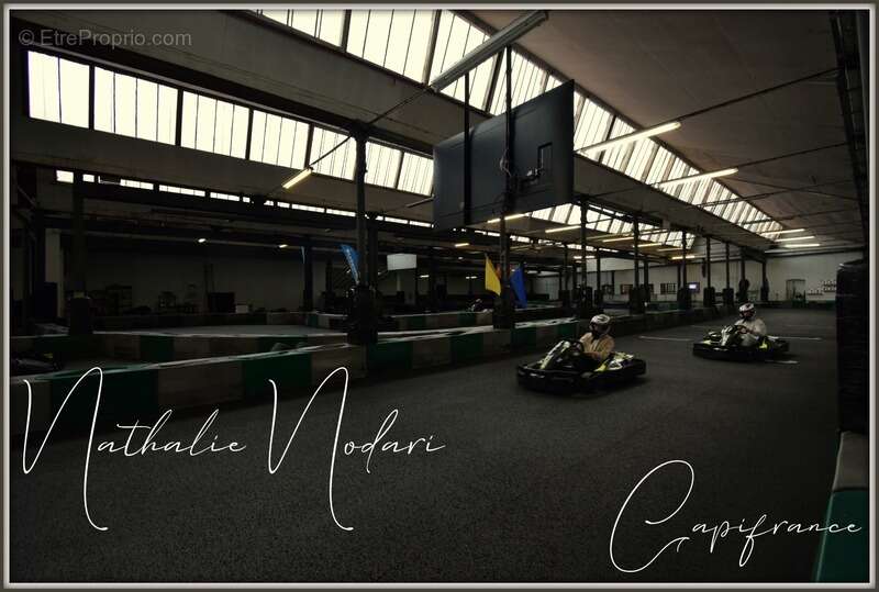 Commerce à LE MENIL