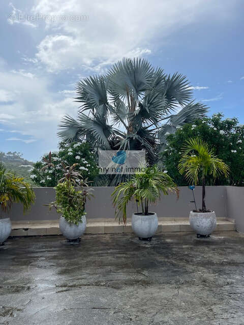 Maison à SAINT-MARTIN