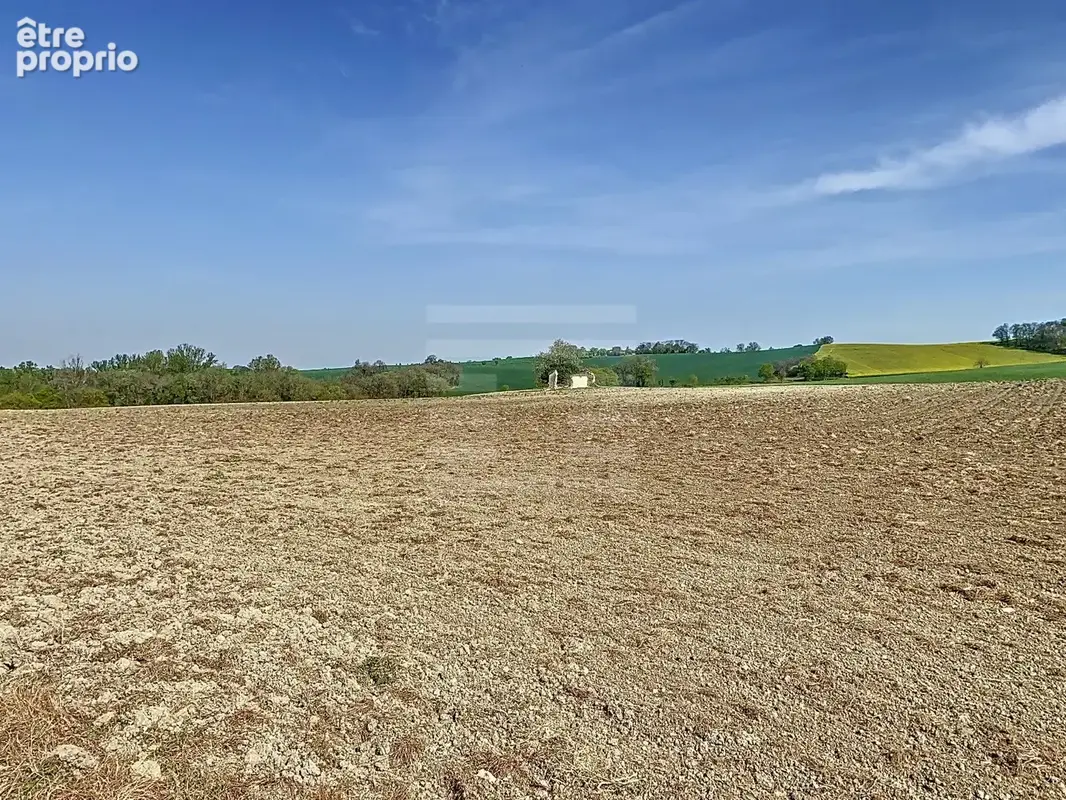 GERS (32) - À Vendre  Belle propriété rurale avec terres agricoles et bâtis en pierre - photo 20