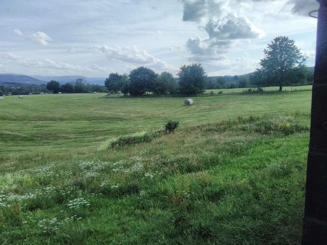 Terrain à RIBEAUVILLE