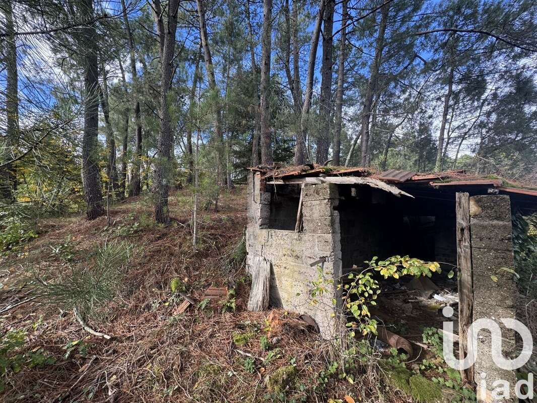 Photo 6 - Maison à BESSEGES