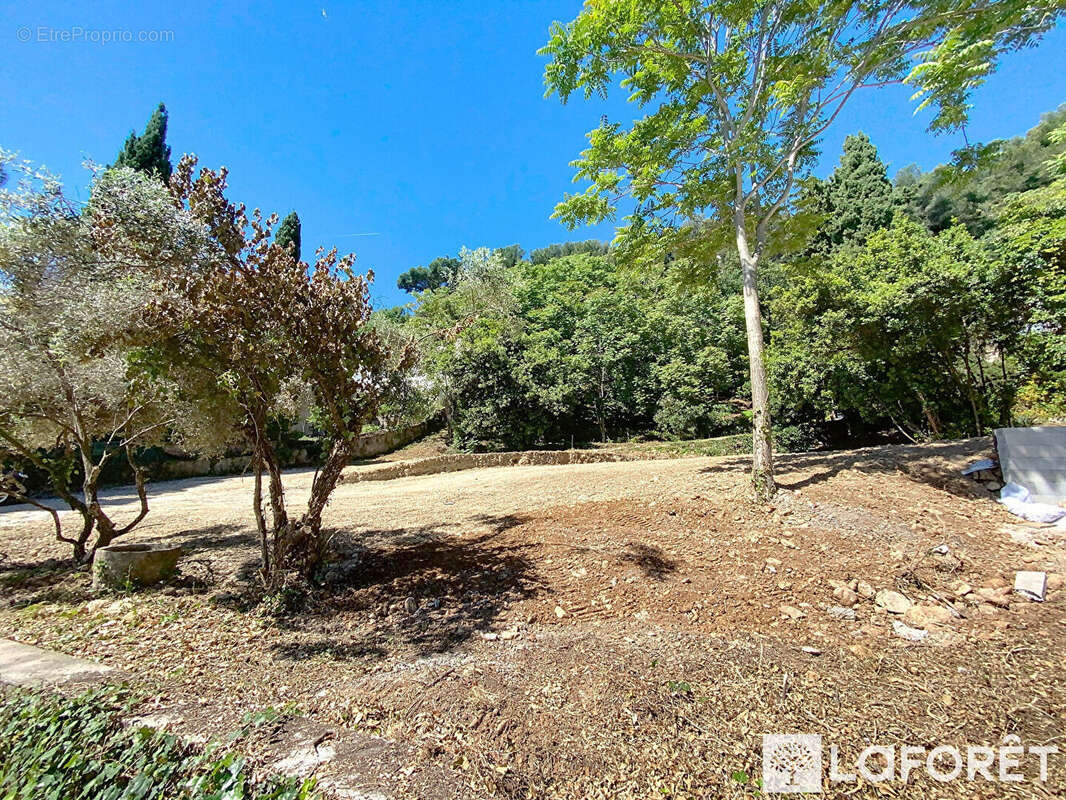 Terrain à ROQUEBRUNE-CAP-MARTIN