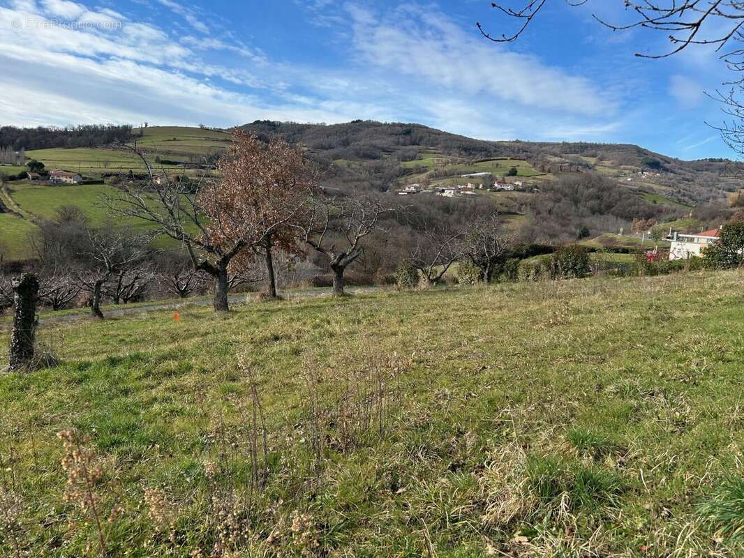 Terrain à SAINT-ROMAIN-EN-JAREZ