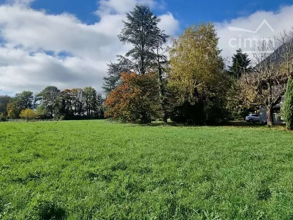 Terrain à LA TERRASSE