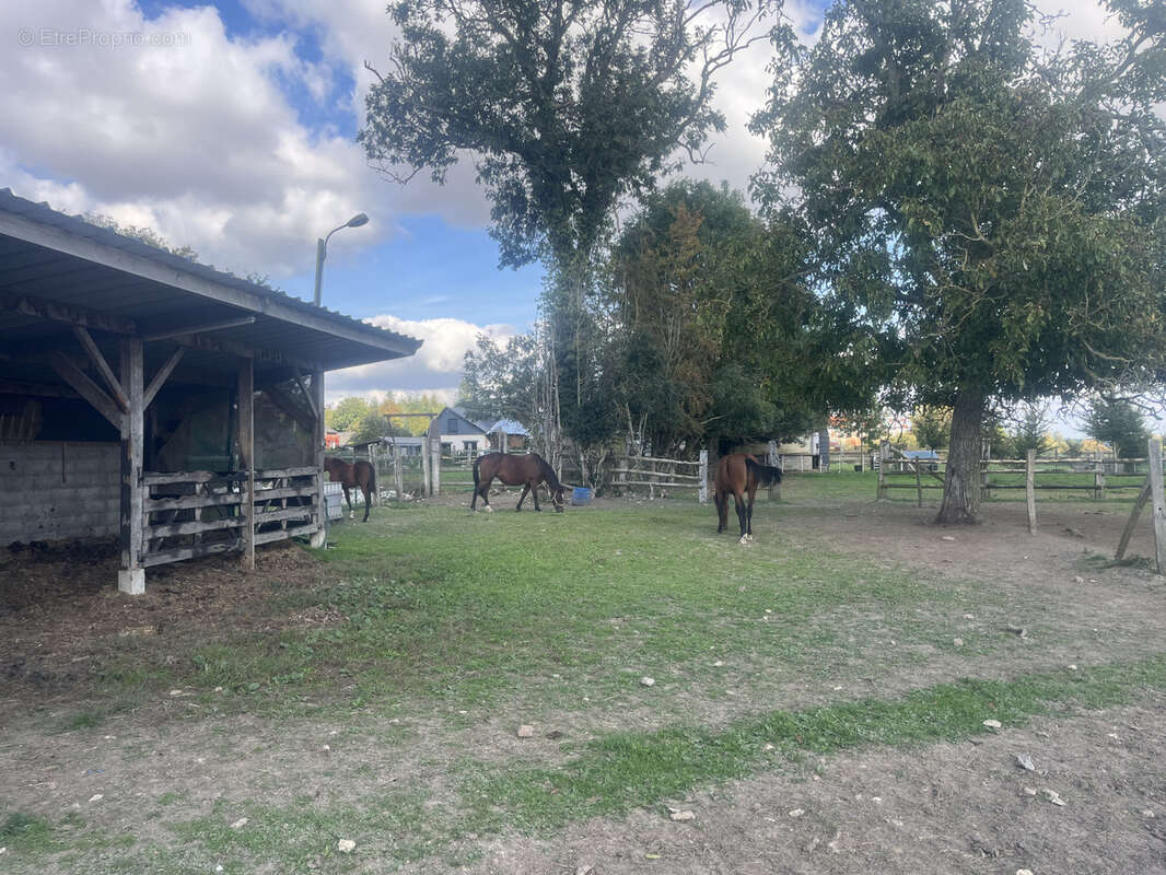 Maison à PREUSEVILLE