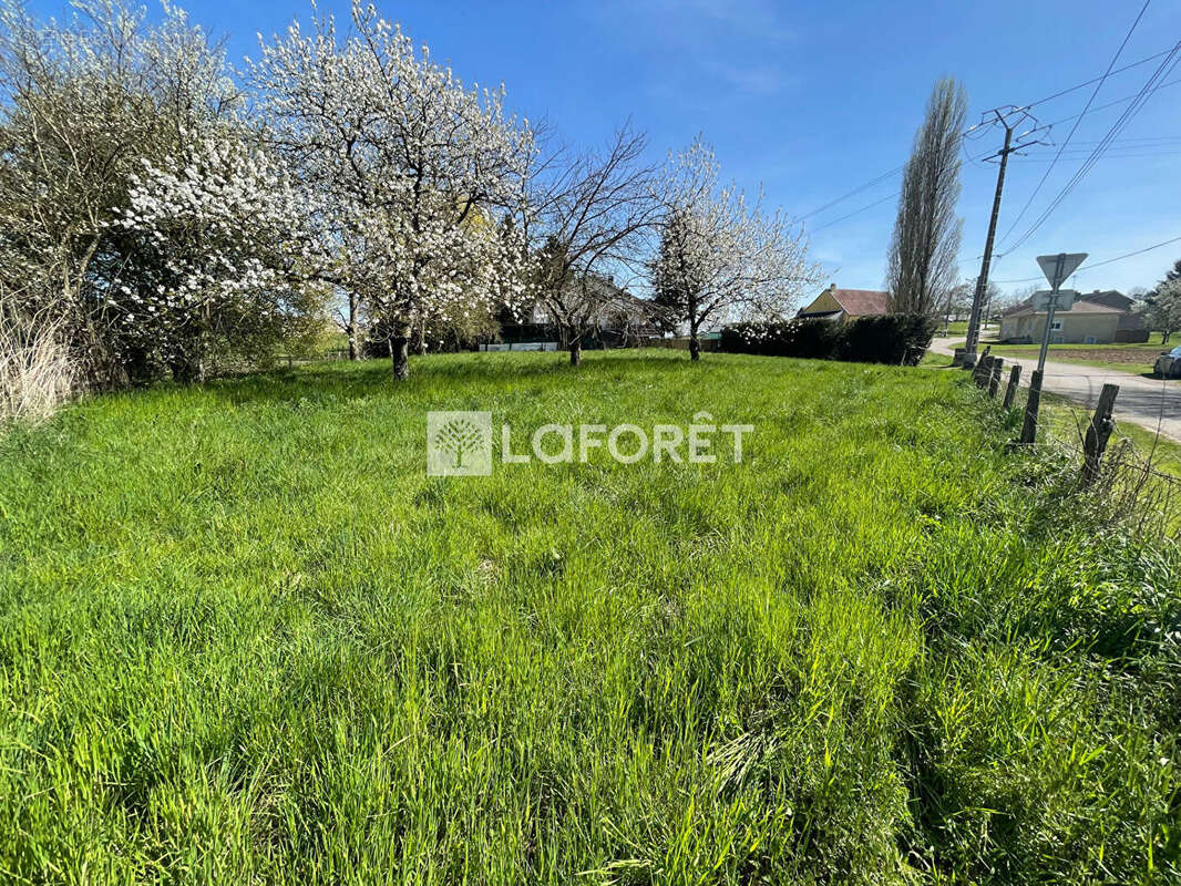 Terrain à VELESMES-ECHEVANNE
