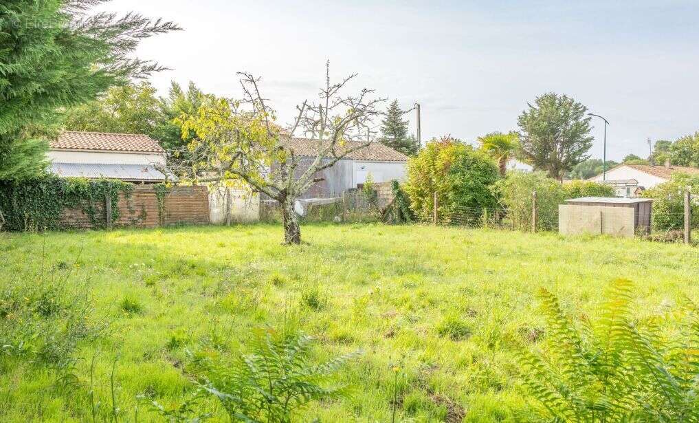 Terrain à SAINT-AUGUSTIN