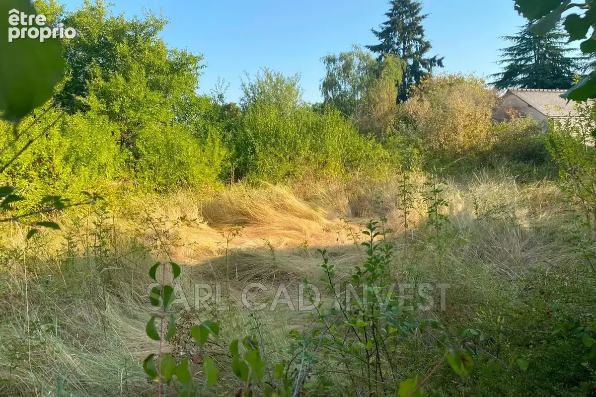 Maison 6 pièces 170 m² à vendre à Saint-Avertin (37550) - photo 3